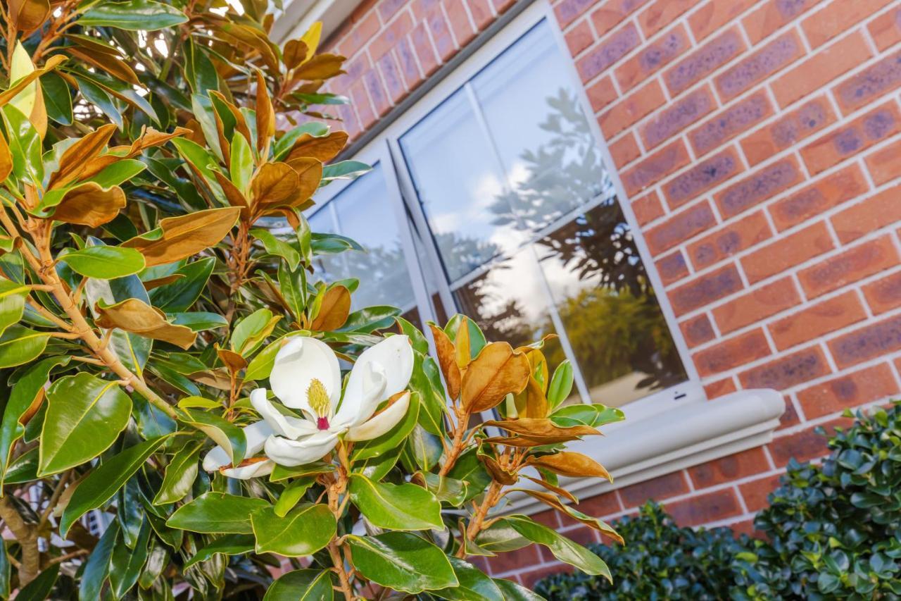 Sweet Magnolia 1 Or 2 Bedroom Suite St Kilda Cambridge With Complimentary Continental Breakfast Exteriör bild